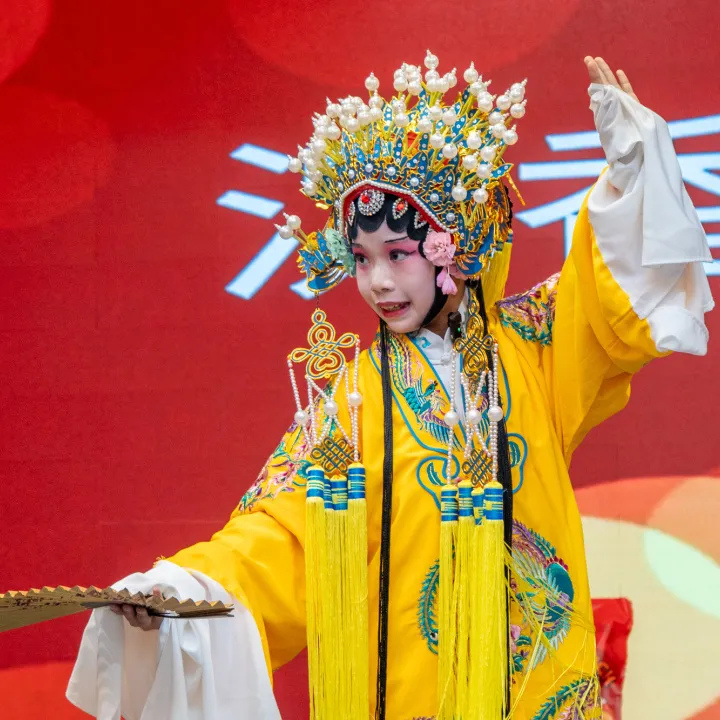 أداء البرنامج